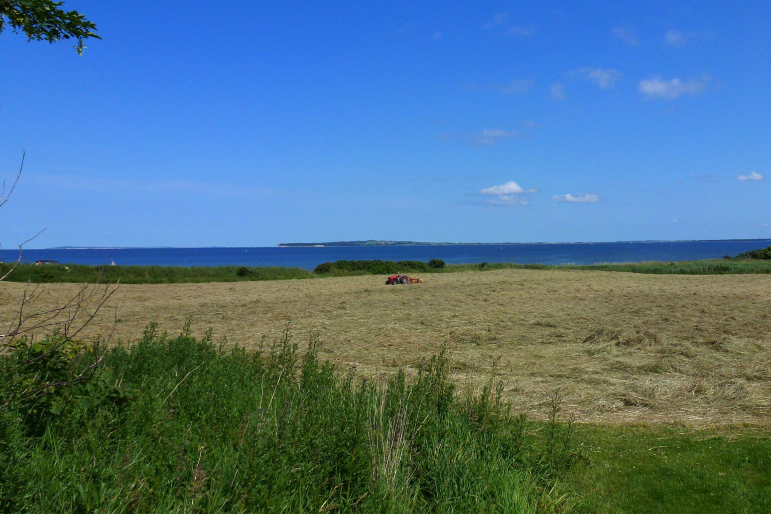 Ha Strand Lystejendom 5 ha strandgrund | Warming Liebhaverejendom